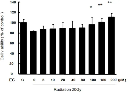Figure 1. Effect of epicatechin on viability of the HaCaT cells after treatment with radiation