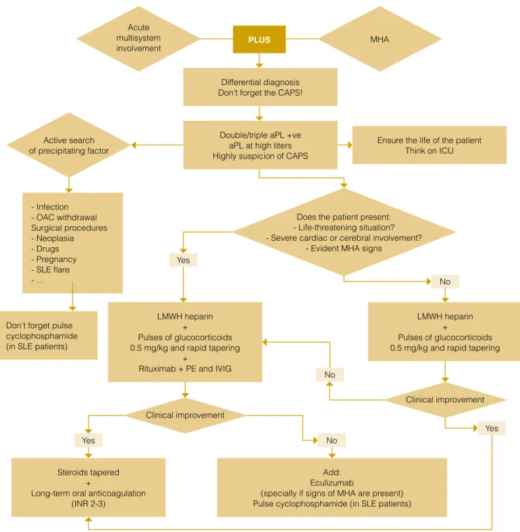Figure 1:  Algorithm for the management of catastrophic antiphospholipid syndrome.