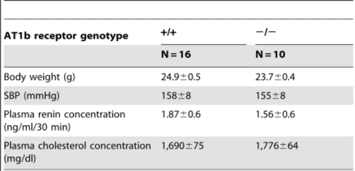 Table 1. Characterization of AT1b receptor +/+ and 2/2 mice infused with AngII.