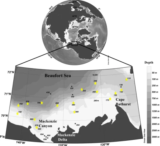 Fig. 1. Location and station number investigated during the MALINA cruise in the Canadian Shelf of the Beaufort Sea