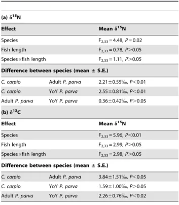 Table 3. Outputs of the general linear models testing differences in trophic niche between the species.