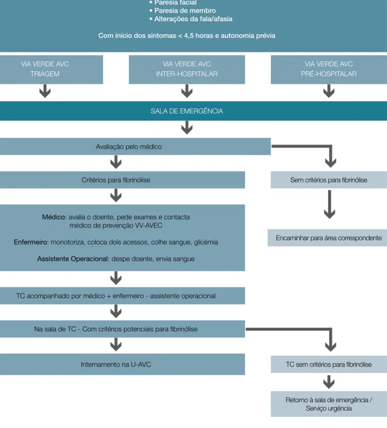 Figura 1: Fluxograma VV-AVC intra-hospitalar