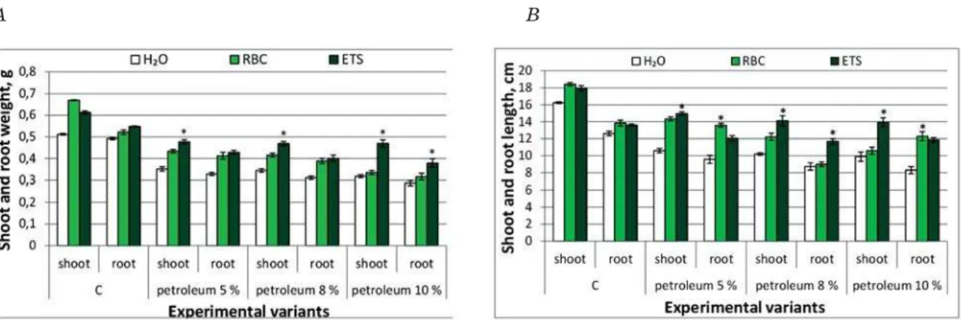 Fig. 1. Morphometric parameters of field pea under the influence of rhamnolipid biocomplex and ethylthio- ethylthio-sulfanilate when growing on petroleum contaminated soil: