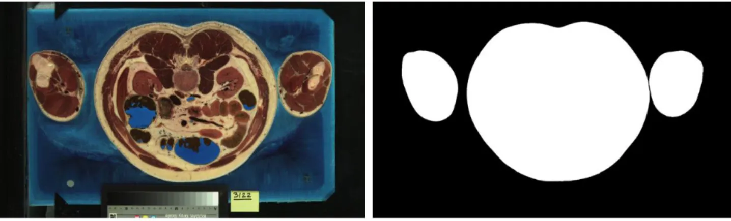 Figure 2 – The segmentation process of the human body: input data and the respective mask