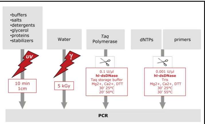 Figure 4. Flow chart of the UVD decontamination procedure.