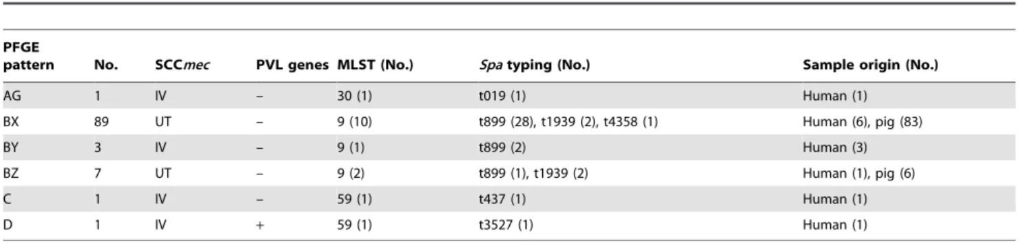 Table 4. Molecular characteristics of 102 MRSA isolates, categorized by pulsed-field gel electrophoresis (PFGE) patterns.