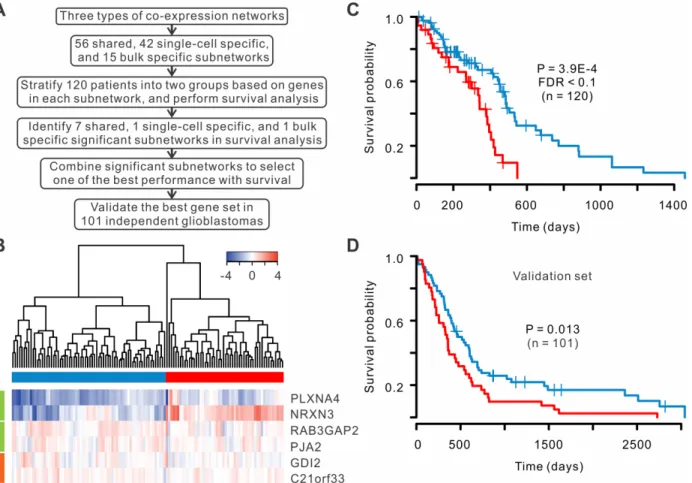 Fig 6. A set of co-expressed genes can serve as a prognosis signature for glioblastomas