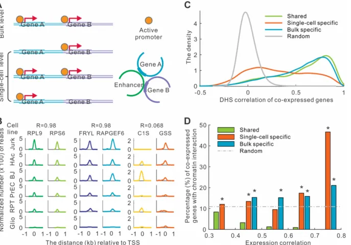 Fig 4. Distinct regulatory mechanisms are associated with co-expressions in single cells and bulk tissues