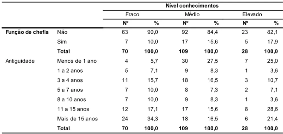 Tabela 12: Distribuição das características profissionais por nível de conhecimento - Excel 