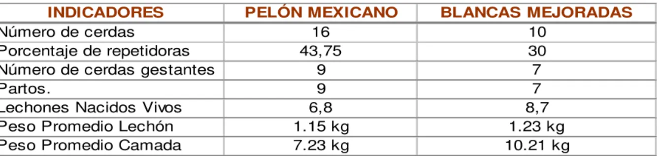 Tabla 1 . Efe ct o del uso de las gonadot ropinas y algunos indicadores reproduct ivos de las   cerdas  N P Pa Lec P