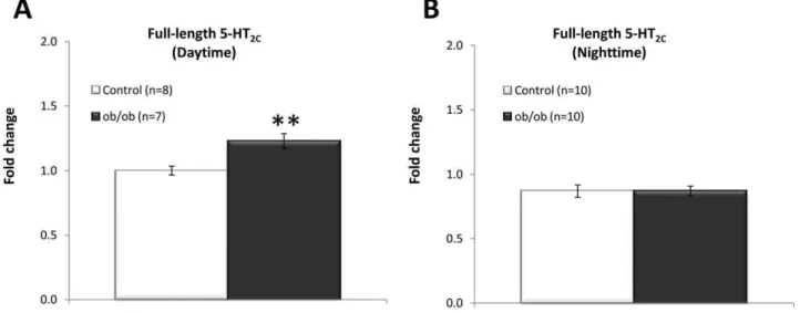Figure 5. Daytime and nighttime full-length 5-HT 2C receptor mRNA expression in the hypothalamus