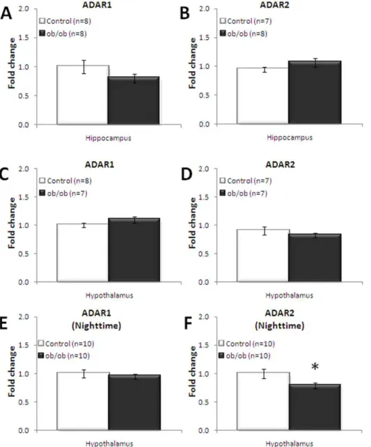 Table 2. Site-specific hypothalamic 5-HT 2C mRNA editing in ob/ob mice compared to control.