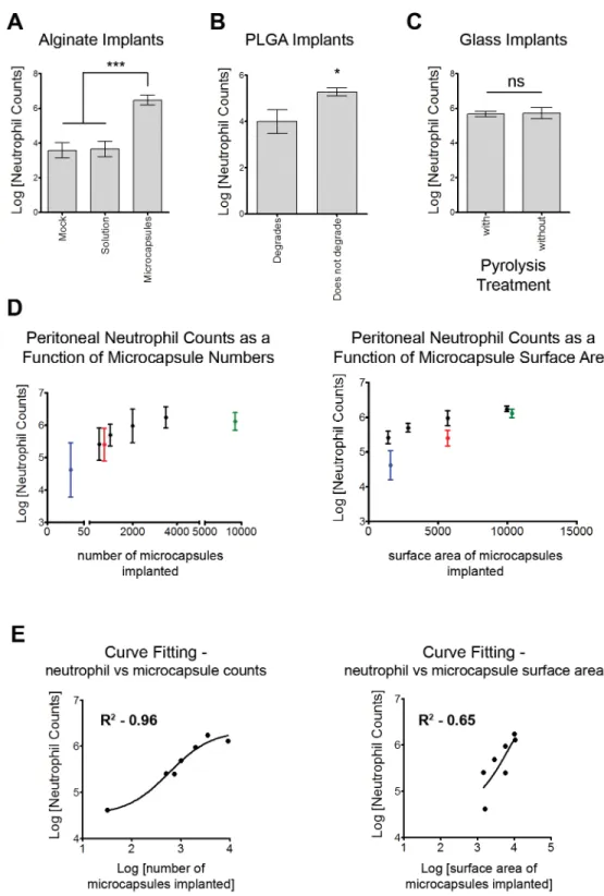 Fig 3. Increased neutrophil presence is due to biomaterial implants. (A) – Comparison of neutrophil counts in mice implanted with alginate in its solution or cross-linked hydrogel microcapsule form (measured 2 weeks following implantation)