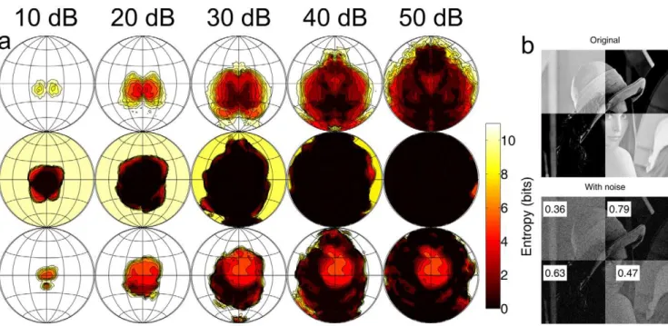 Figure 8. Illustration of the sensitivity-accuracy trade-off. (a) Top row: Localization entropy plots for M