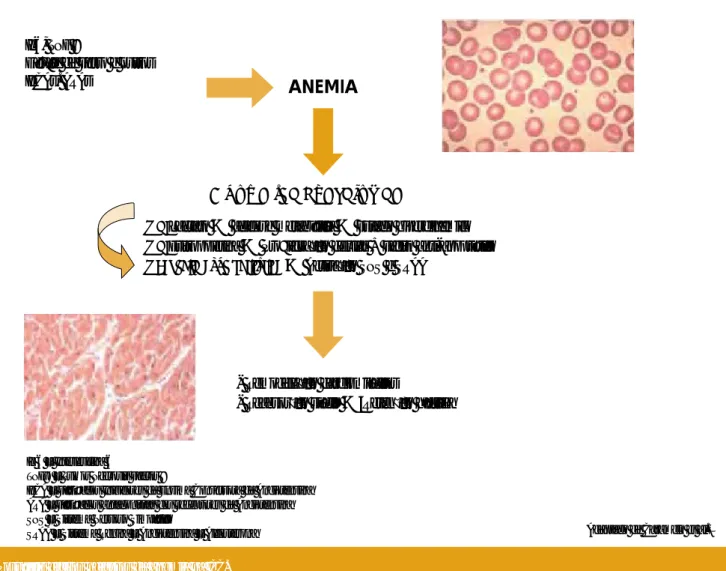 FiG. 1 FiG. 1