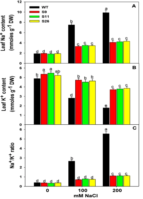 Figure 4. Analysis of ion content in transgenic and WT tobacco plants. (A) Na + content in the leaves of transgenic and WT plants