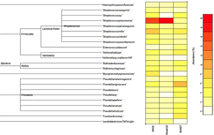 Figure 4. Relative abundance of species in VFD12-006 estimated by GAIIx sequencing and BLAST (microbial reference database), 5VCE, and NmerCE algorithms.