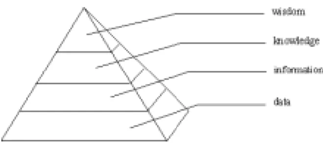 Figure 1: data-information-knowledge pyramid 