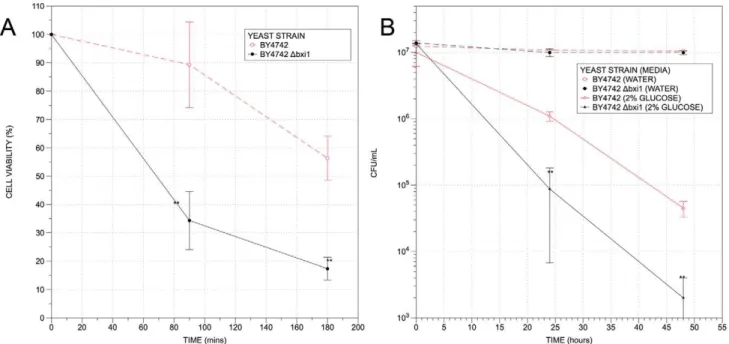 Figure 4. Yeast Bxi1p colocalizes with Sec63p, a marker for the endoplasmic reticulum