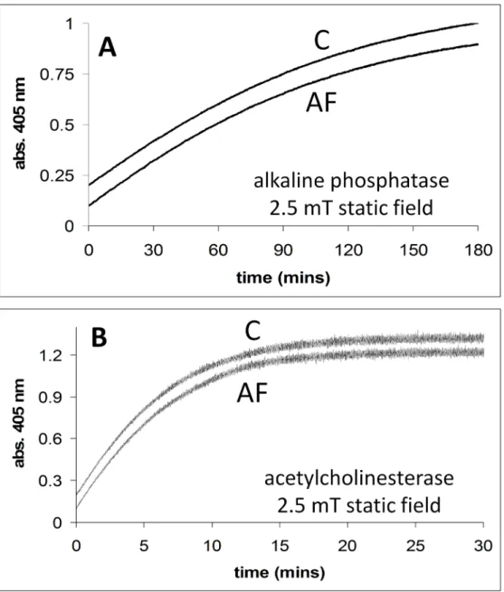 Fig 6. A. Alkaline phosphatase activity in the presence (2.5 mT static field) and absence of applied magnetic fields