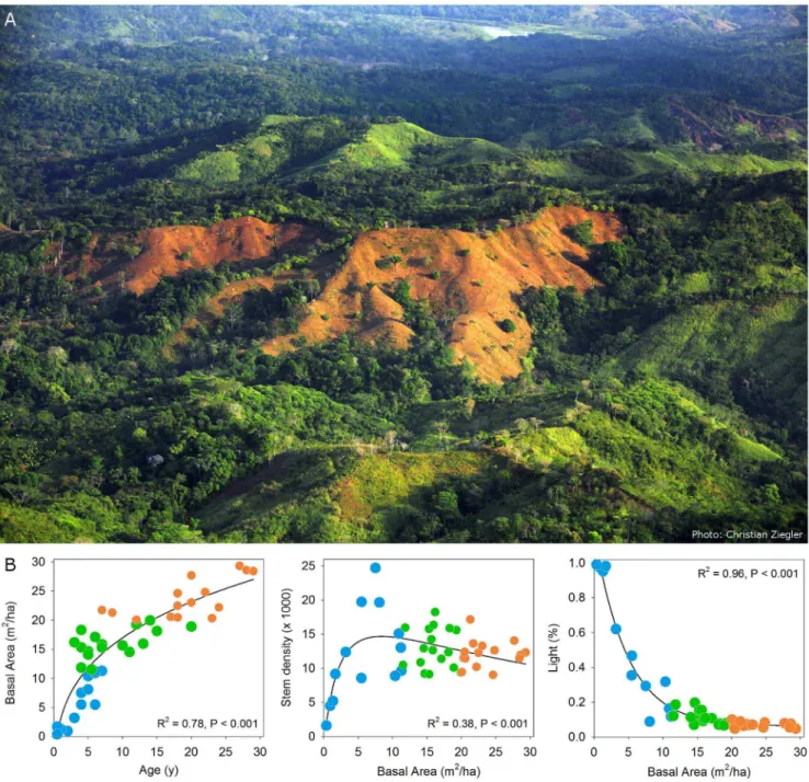 Figure 1. The Agua Salud landscape and its secondary forests. A) An aerial overview of part of the Agua Salud landscape, with a mosaic dominated by secondary forests of different ages and pastures