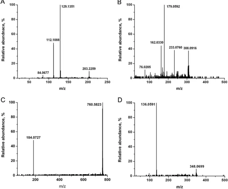 Figure 2. Tandem MS with collision induced dissociation for metabolite identification