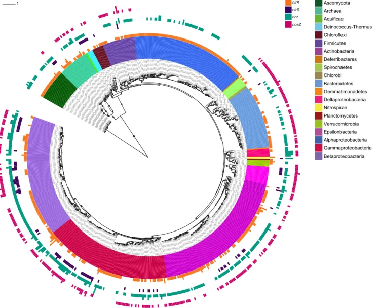 Figure 1. Maximum likelihood phylogeny of full-length 16S/18S rRNA sequences from 652 organisms with denitrification genes
