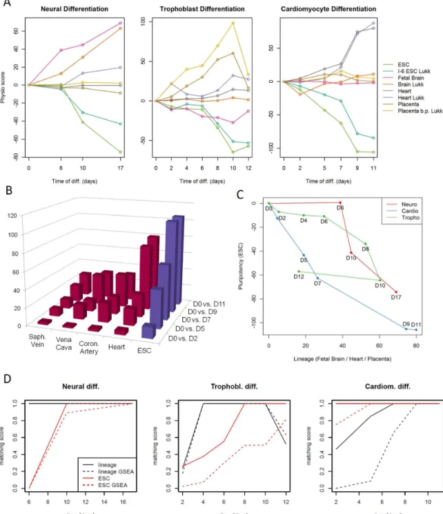 Figure 6.  Detailed results of the differentiation time series analyses.  (A) Line plots of most relevant PhysioScores for the three differentiation time series comparing scores from PhysioSpaces 1 and 3