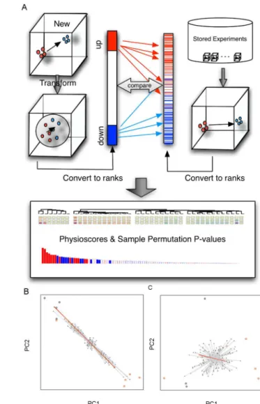 Figure 2.    Overview over the PhysioSpace algorithm.    (A) Data from a new experiment is transformed to remove ellipticity and  the  resulting  fold-change  vector  is  compared  to  a compendium  of  signatures  from  prior  experiments  using  a robust