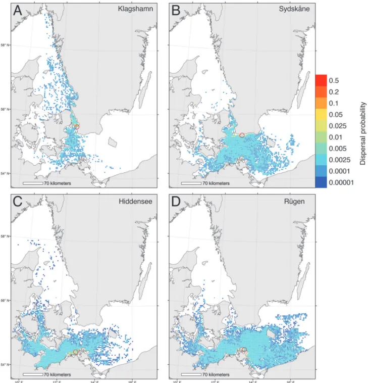 Fig 1. Biophysical simulations showing dispersal of larvae from 4 Baltic locations. Relative larval dispersal probabilities predicted from a biophysical model where larvae were released between May-October and drifted at a depth of 0 – 12 m for 30 days