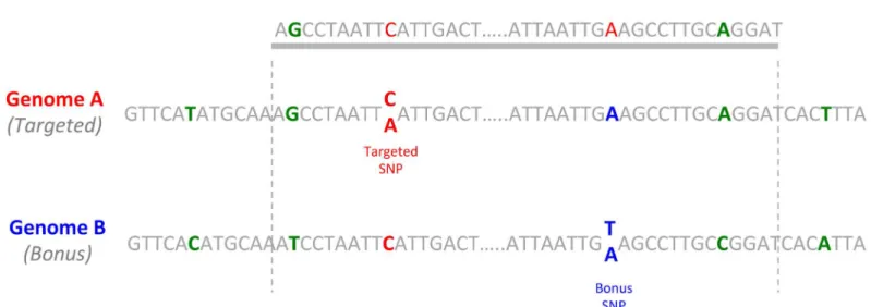 Table 3 summarizes the key genetic map features. Mapping positions of individual markers are given in the S4 file
