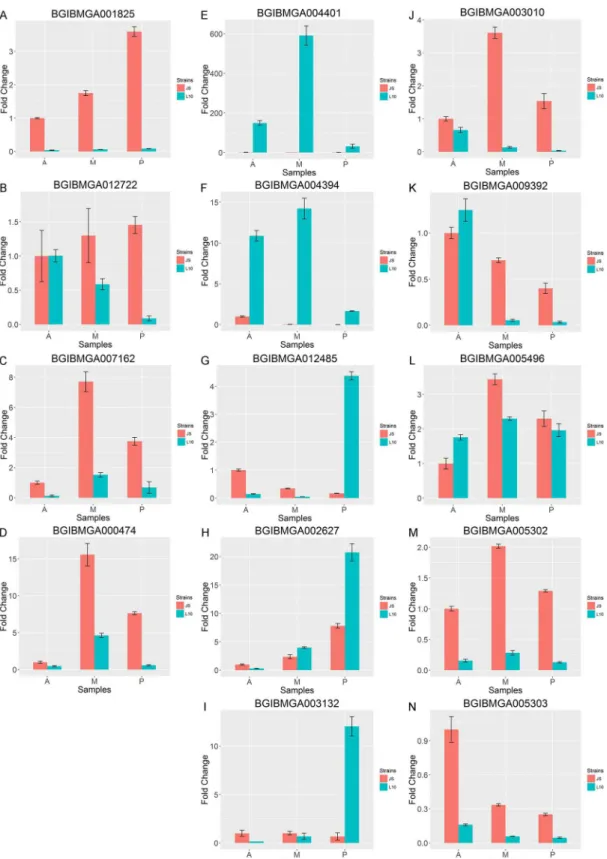 Fig 2. Quantitative real-time PCR validation for genes. Red bars indicate gene expression in JS and blue bars indicate gene expression in L10