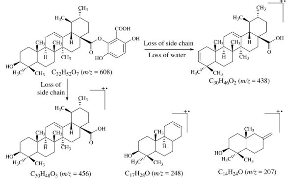 Figure 2. Major mass fragments in compound 1 