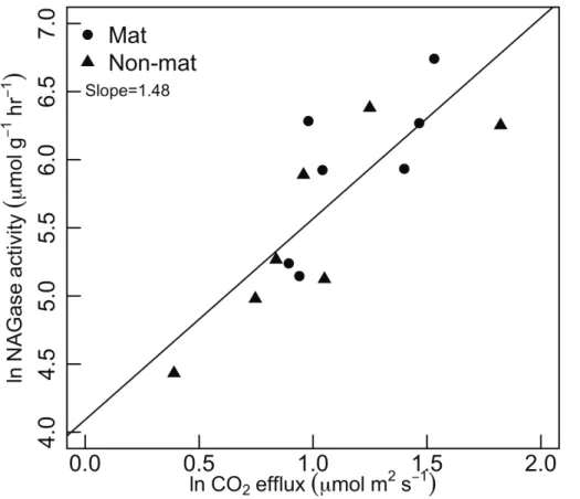 Fig. 9. Relationship between NAGase (chitinase) enzyme activity and soil surface flux.