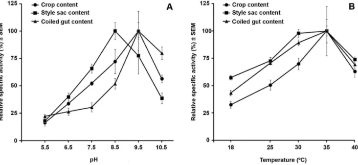 Figure 8. Specific L-alanine-N-aminopeptidase activity in wall tissue of the crop, style sac, and coiled gut