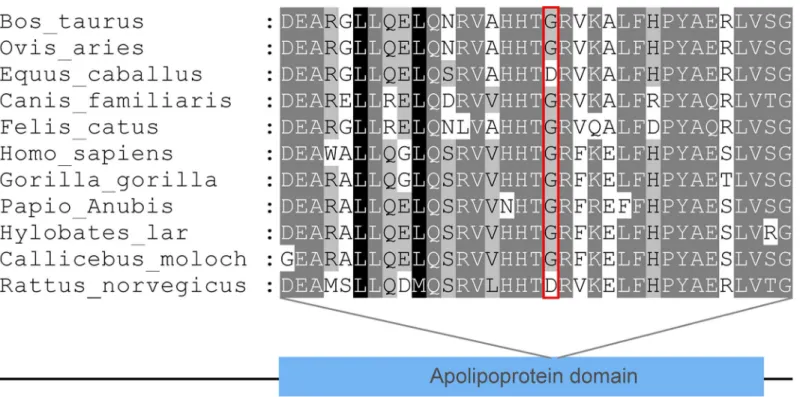 Fig 3. Evolutionary conservation of the G185 amino acid residue: G185 residue is relatively conserved across the species examined.
