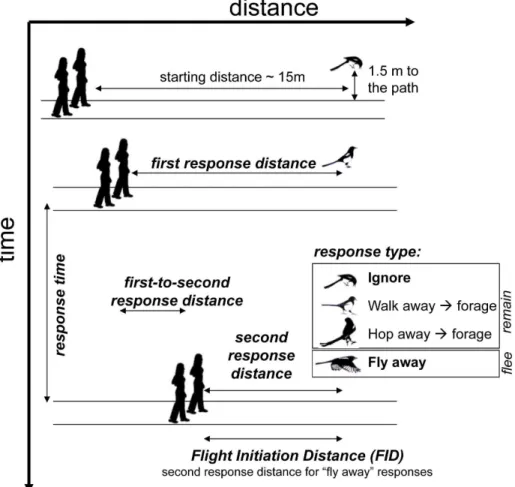 Figure 1. Schematics of the experimental methods and definition of variables.