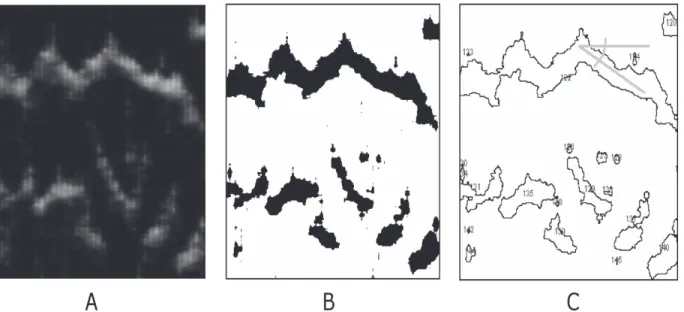 Figure 2. Analysis of spatial-temporal profiles. A: Calcium density plot showing a typical outcome of the model simulation (horizontal axes: space, vertical axes: time)