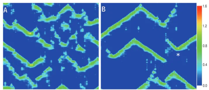 Fig. 3 shows the results of two simulations obtained with the hybrid model described above for an intercluster distance d = 2.5 mm and two different values of p