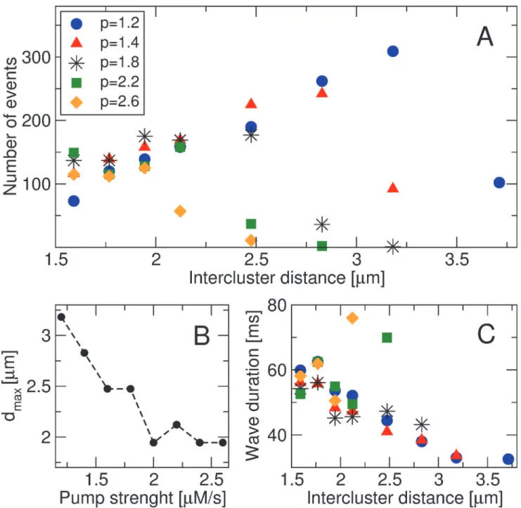 Figure 4. Statistical analysis of Ca 2+ waves. (A) Number of Ca 2+ wave release events vs