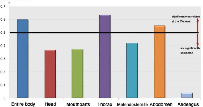 Figure 8. Correlation analyses between hind wing and body features.