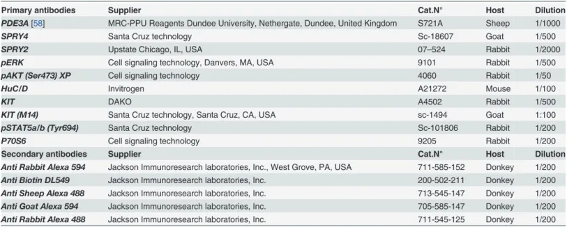 Table 3. Primary and secondary antibodies used for immunofluorescence.