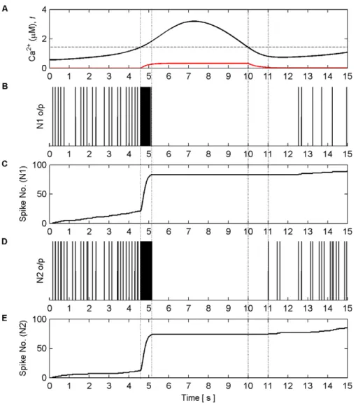 Figure 11. Coordinated firing activity of N1 and N2 for the first 15 s of AN model simulation