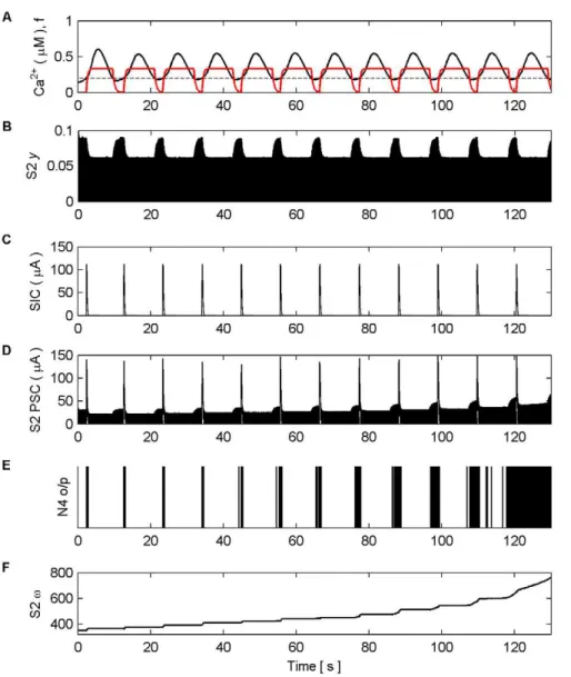 Figure 6. Synaptic Plasticity in the AN Model. (A) Ca 2+ oscillation resulting from pre-synaptic stimulation of S1 by N1, including the gating function f (red) and Ca 2+ threshold (dashed)