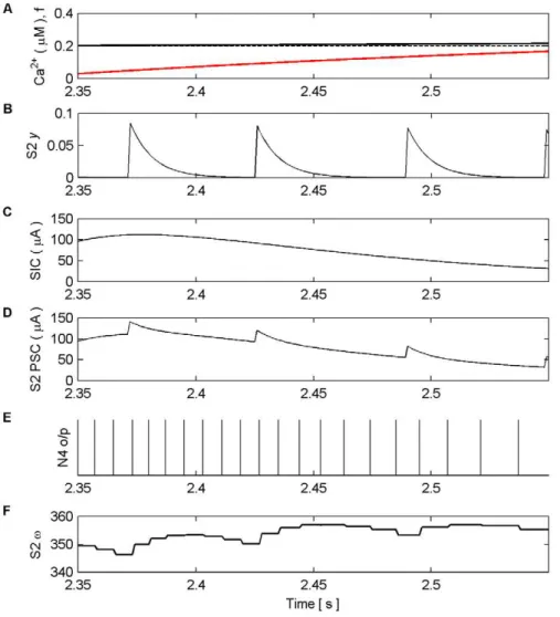 Figure 8. Synaptic Plasticity in the AN Model (2.35 s–2.55 s). (A) Ca 2+ oscillation resulting from pre-synaptic stimulation of S1 by N1, including the gating function f (red) and Ca 2+ threshold (dashed)