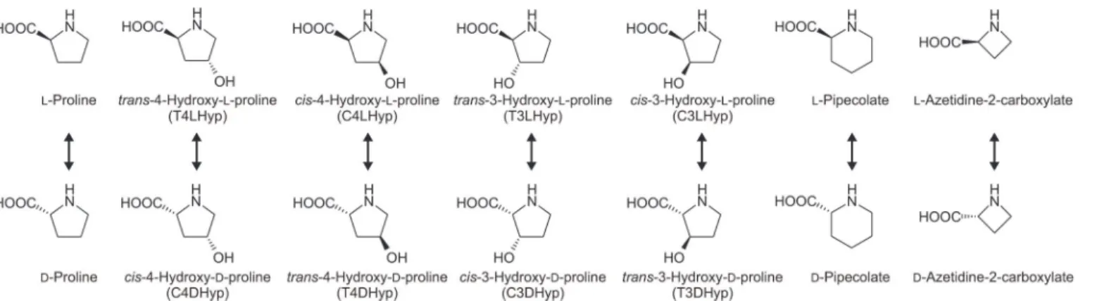 Fig 2. Library of proline derivatives. TlProR can enable the reversible racemization and epimerization of all proline derivatives (arrows).