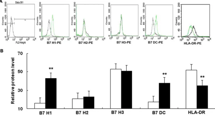 Figure 7. Flow cytometric analysis of cells surface expression of HLA-DR and B7 homologs in 16HBE14o- cells after ITGB4 silencing.