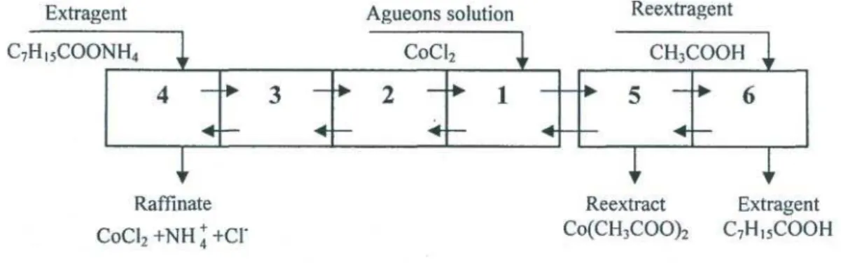 Fig. 3. Pattern of cobalt chloride extraction conversion to acetate at an extractor cascade.