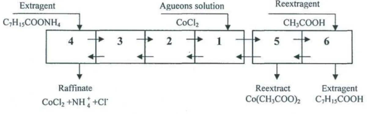 Fig. 3. Pattern of cobalt chloride extraction conversion to acetate at an extractor cascade.