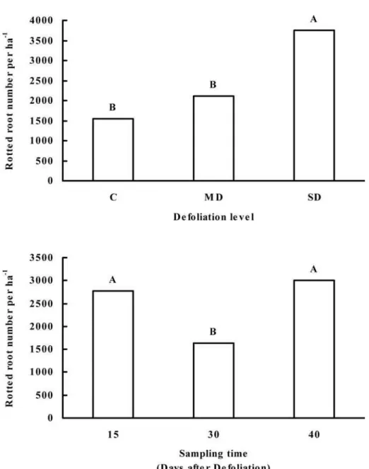 Figure 1. Rotted root number as affected by defoliation level and sampling time